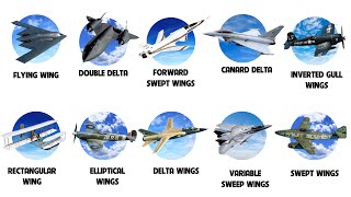 10 Fighter Wing Designs That Ruled the Skies