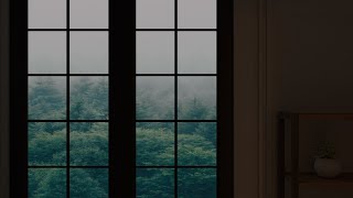 Window and rainy forest | Forest and  rain sound seen from the window in summer | 1 hour