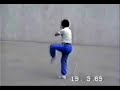 太極螳螂趙竹溪入室弟子鄧成寧師父太極劍 taichi mantis tai chi sword.wmv