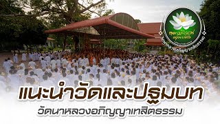 แนะนำวัดและปฐมบท วัดนาหลวงอภิญญาเทสิตธรรม