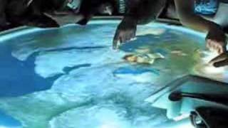 Multi-Touch Table
