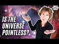 What Could Be the Purpose of the Universe?