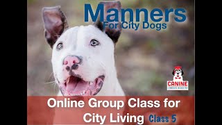 Canine Learning Academy Video, Manners Online Group Class