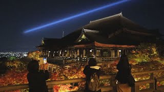 色づくモミジ、舞台浮かぶ 清水寺18日から特別拝観