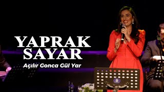 Yaprak Sayar - Açılır Gonca Gül Yar