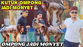 GAWAT BANG REY KUTUK OMPONG JADI MONYET