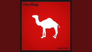 Hump Day