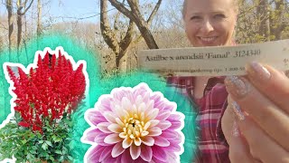 Swan Island Dahlias and White Flower Farm Unboxing!