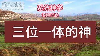 三位一体的神  | 汤姆华森《系统神学》   #清教徒 #改革宗 #有声圣经