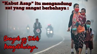 9 BAHAYA KABUT ASAP BAGI TUBUH MANUSIA • Cara Mengatasi Kabut Asap Kebakaran Hutan.