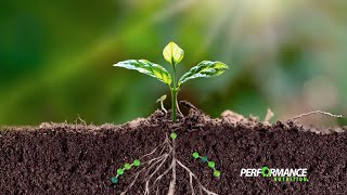 Why Free Amino Acids Matter | Unlocking Plant Nutrition with Pennamin