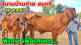 ตลาดบ้านค่าย สมศรี 25 พ.ย.67 ของดี..! เพื่อเกษตรกร เริ่มต้นเบาๆจับต้องได้