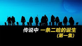 震驚！哈士奇團體作戰，竟對男人做出這種事《阿爾法?狼伴歸途》 #电影 #电影解说 #影视 #影视解说 #剧情