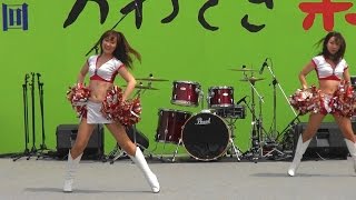 BULLS チアリーダーズ　かわさき楽大師まつり2017