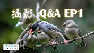 【攝影講場 #21】攝影 Q\u0026A EP1 - Alex Fung FRPS, GMPSA, EFIAP/p