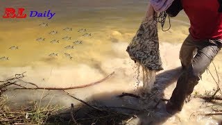 cast net fishing banteay meanchey cambodia ( fishing big cambodia )
