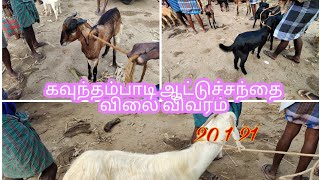 கவுந்தம்பாடி ஆட்டுச்சந்தை விலை விவரம் 20.1.21