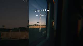 Ustad Nusrat Fateh Ali Khan | Persian Gazal | Ameer Khusro