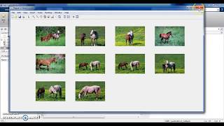 Content based image retrieval (CBIR) in MATLAB + Detailed report