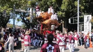 #櫻井 だんじり　令和５年  #美具久留御魂神社 #宮入 #富田林だんじり祭