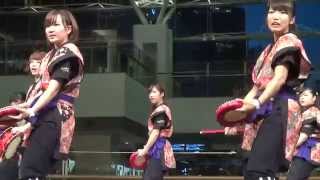 鎌倉女子大　沖縄舞踊愛好会　2015　エイサー　ヨコハマ大学まつり2015　クイーンズサークル　1/5