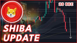 SHIBA CRASH UPDATE!🚨 | SHIBA INU COIN PRICE PREDICTION \u0026 NEWS 2024!