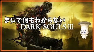 【DARK SOULS3】眠くなるまで静かにダクソ3　DLC編