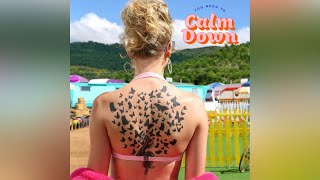 Taylor Swift - You Need to Calm Down ( Instrumental)