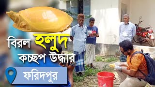 বিরল হলুদ কচ্ছপ উদ্ধার | Protidiner Sangbad