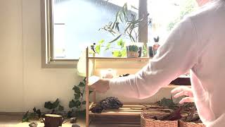 Assignment 3 - Setup video