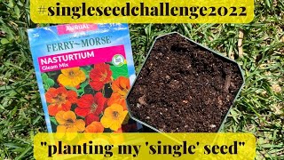 #singleseedchallenge2022 🌱Potting up my seed and all the feels