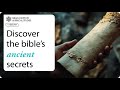 What Secrets of the Bible Does Translation Hide?