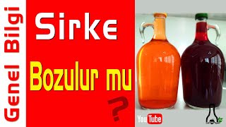 Sirke Bozulur mu?, Ev Yapımı Sirkeyi Saklama Süresi | Genel Bilgi