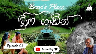 Travel to the Historic Beauty of Brief Garden by Bevis Bawa | Nature Architecture | Full Garden Tour