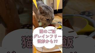 猫のご飯グレインフリー、微妙かも