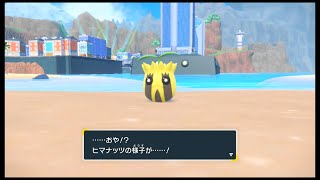 SVのポケモン　ヒマナッツ 〇〇〇〇のいしを つかって進化 だぜ！