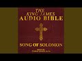 Chapter 3 - Song of Solomon