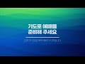 일산방주교회 수요예배 24.7.31 담대하라