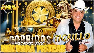 [ El Tigrillo Palma De Oro🤠🔥 ]Éxitos de Oro Para Pistear✅ | 30 Exitos Corridos Pesados Mix New 221