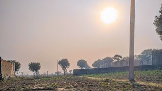 Morning in a Village of Rajasthan