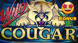 Vintage SLOTS | WILD COUGAR | BONUS 😄😄