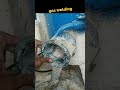 gas welding system change fireworks stone ❤️