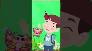 មេអំបៅ _ Cute butterfly songs