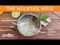 Non-Alcoholic Moscow Mule