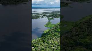 Amazon River_ Nature's Incredible Transformation.#shorts#short #trending#youtubeshorts #nature#facts