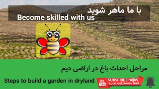 Steps to build a garden in dryland | مراحل احداث باغ در اراضی دیم