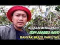 mengapa kopi arabika gayo multi varietas atau mix varietas #kopigayo