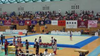 2017年IH 体操競技 女子 ゆか 決勝 2班 2