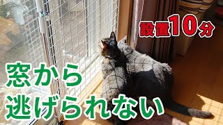 【DIY】猫の網戸からの脱走、ベランダからの転落防止対策にはコレ！