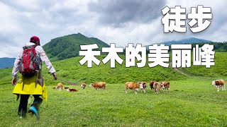 喀纳斯深度之旅。徒步禾木的秘境之地～美丽峰。禾木攻略。【行走世界的北京老刘】